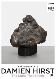 Poster Damien Hirst - Sahara Meteorite