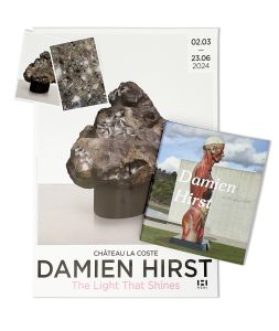 Damien Hirst - Coffret souvenirs