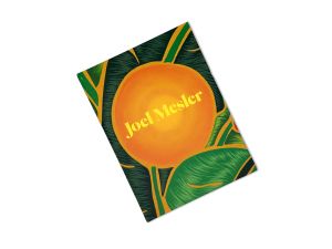Joel Mesler - Zrika shequi'att hashemesh (Sunrise Sunset)