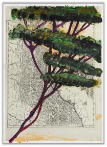 Portrait of Italy Through Its Trees (XVII)