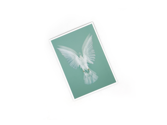 Postcard Damien Hirst - The Impossible Truth