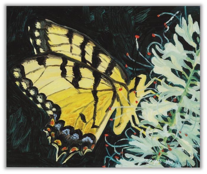 Eastern Tiger Swallowtail
