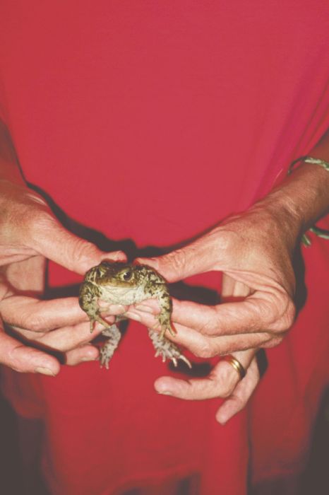 Gently Holding Frog